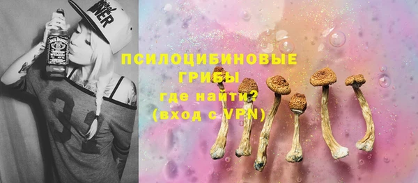мет Инта