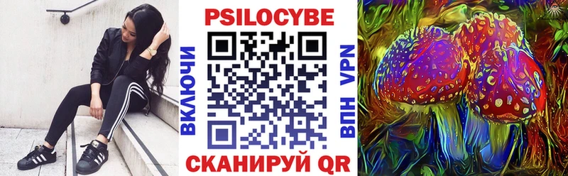 ОМГ ОМГ маркетплейс  Елизово  Галлюциногенные грибы Magic Shrooms 