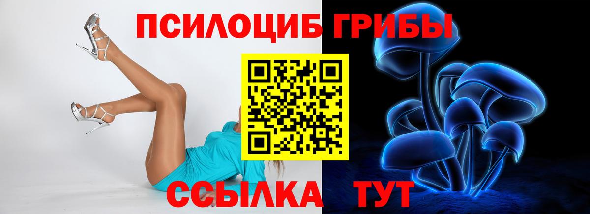 Галлюциногенные грибы ЛСД  где купить   Елизово  Вход с VPN 