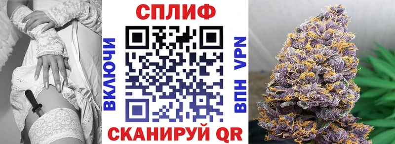 площадка телеграм купить наркоту Елизово Бошки Шишки MAZAR omg ссылка
